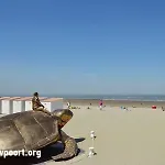 Appartement Casiola - Close To The With Parking